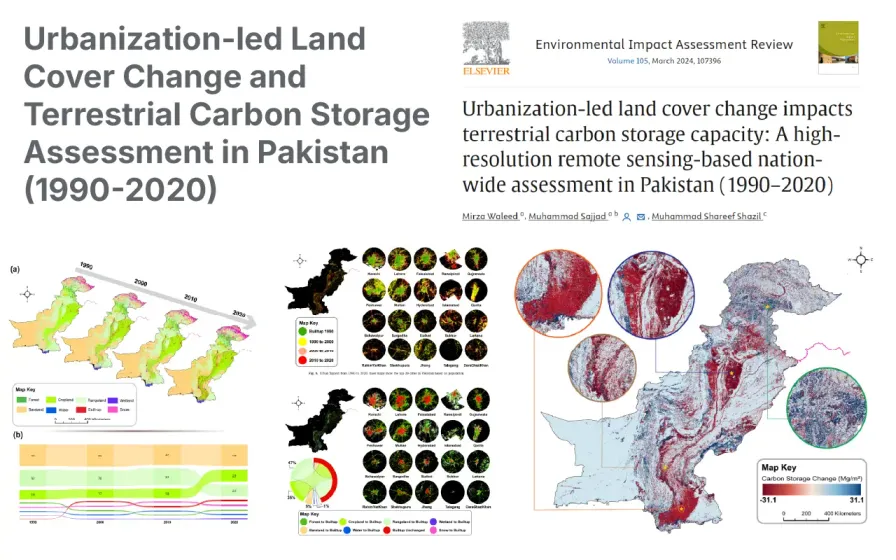 Screenshot of Land Cover & Carbon Storage Change Assessment